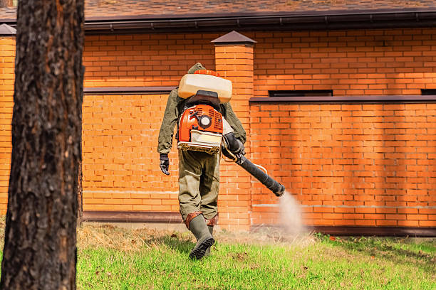 Trusted Termite Control service in Country Walk, FL - Nex Pest Control